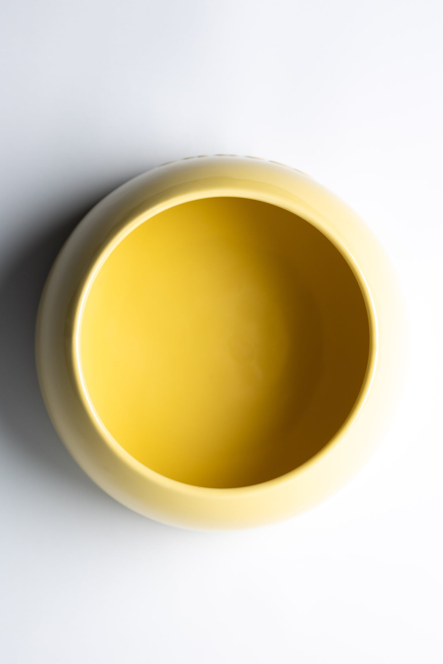 Small Dog Bowl