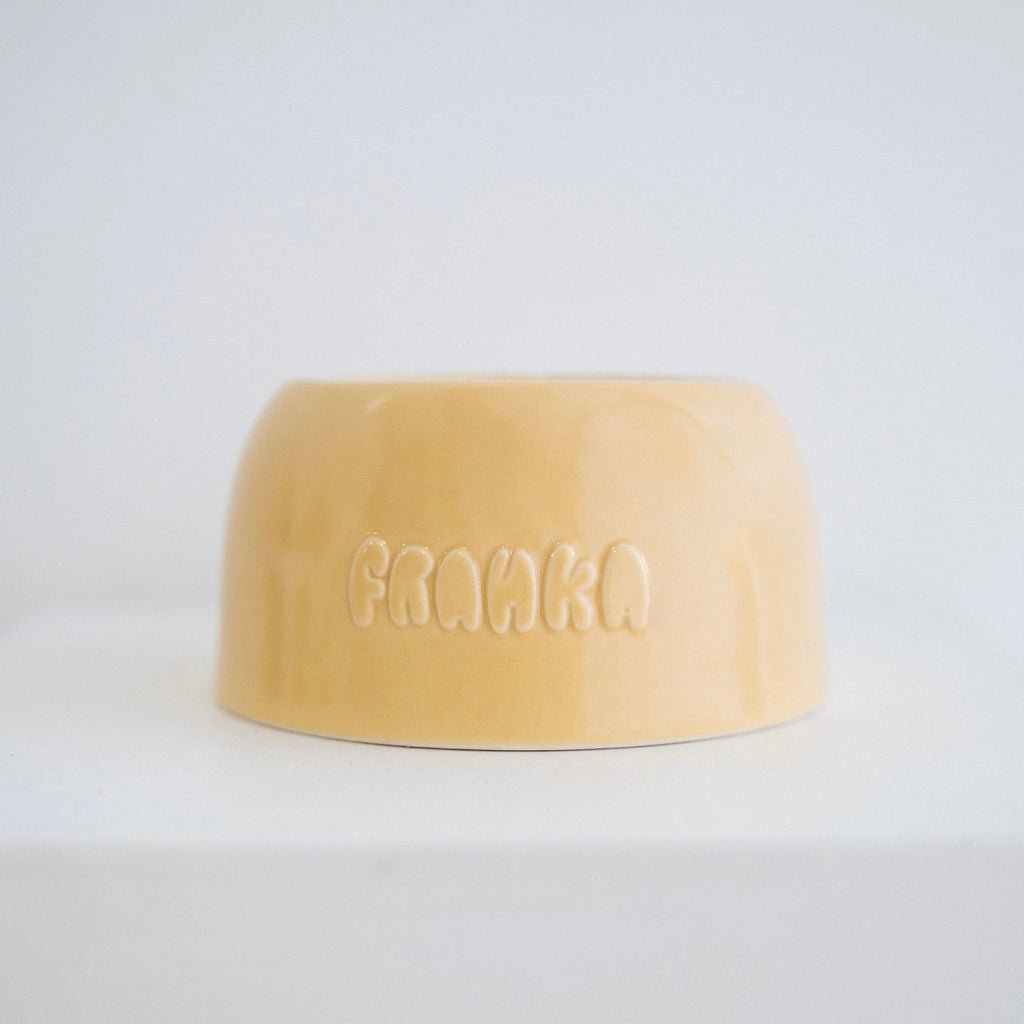 Small Dog Bowl