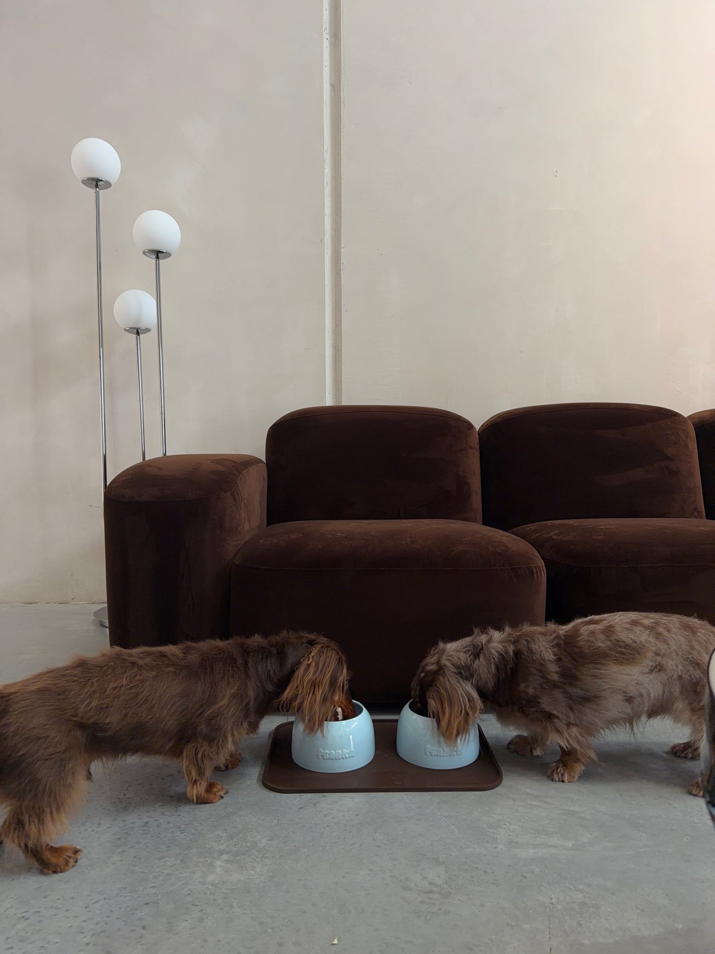 Long Eared Dog Bowls