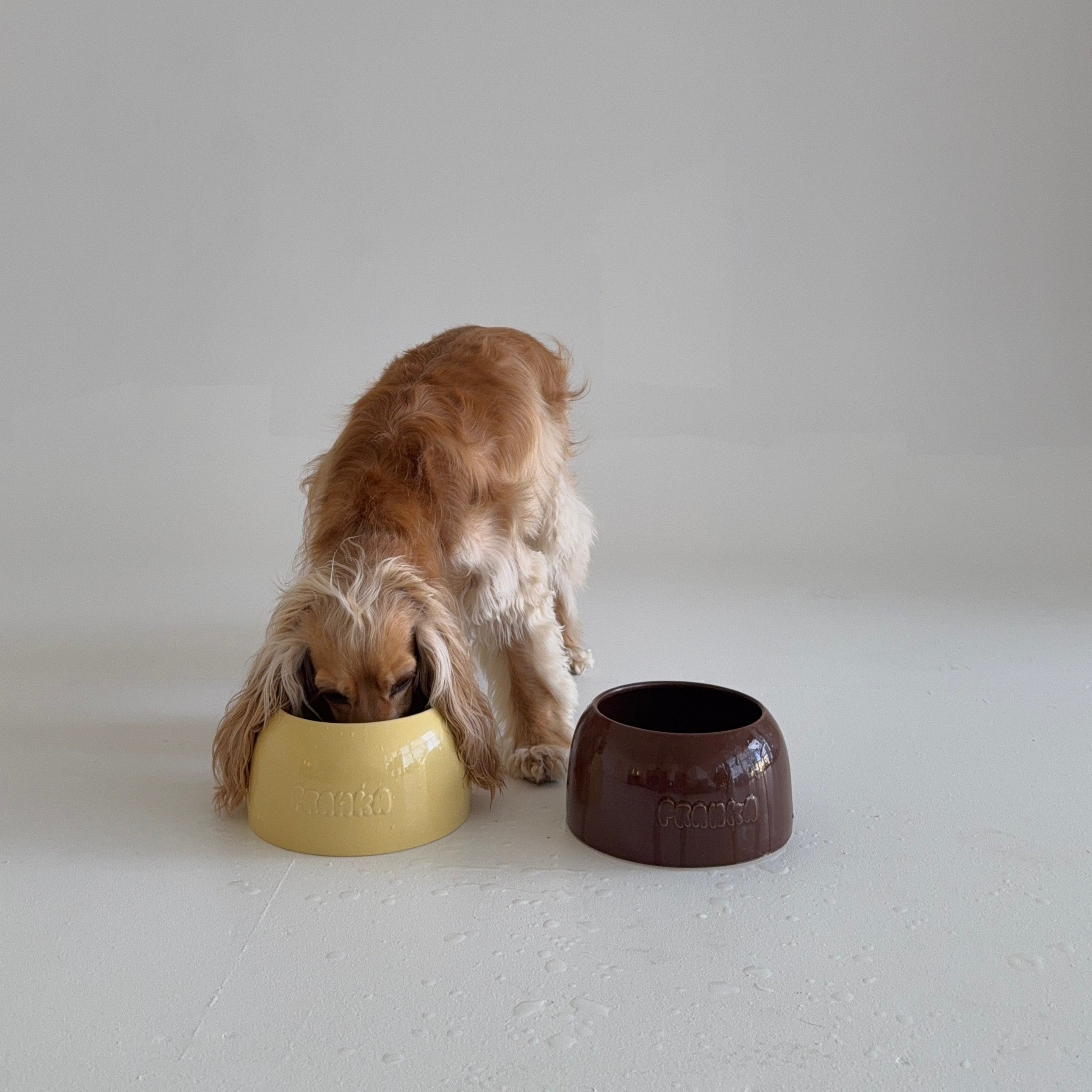 Long Eared Dog Bowls – By Franka