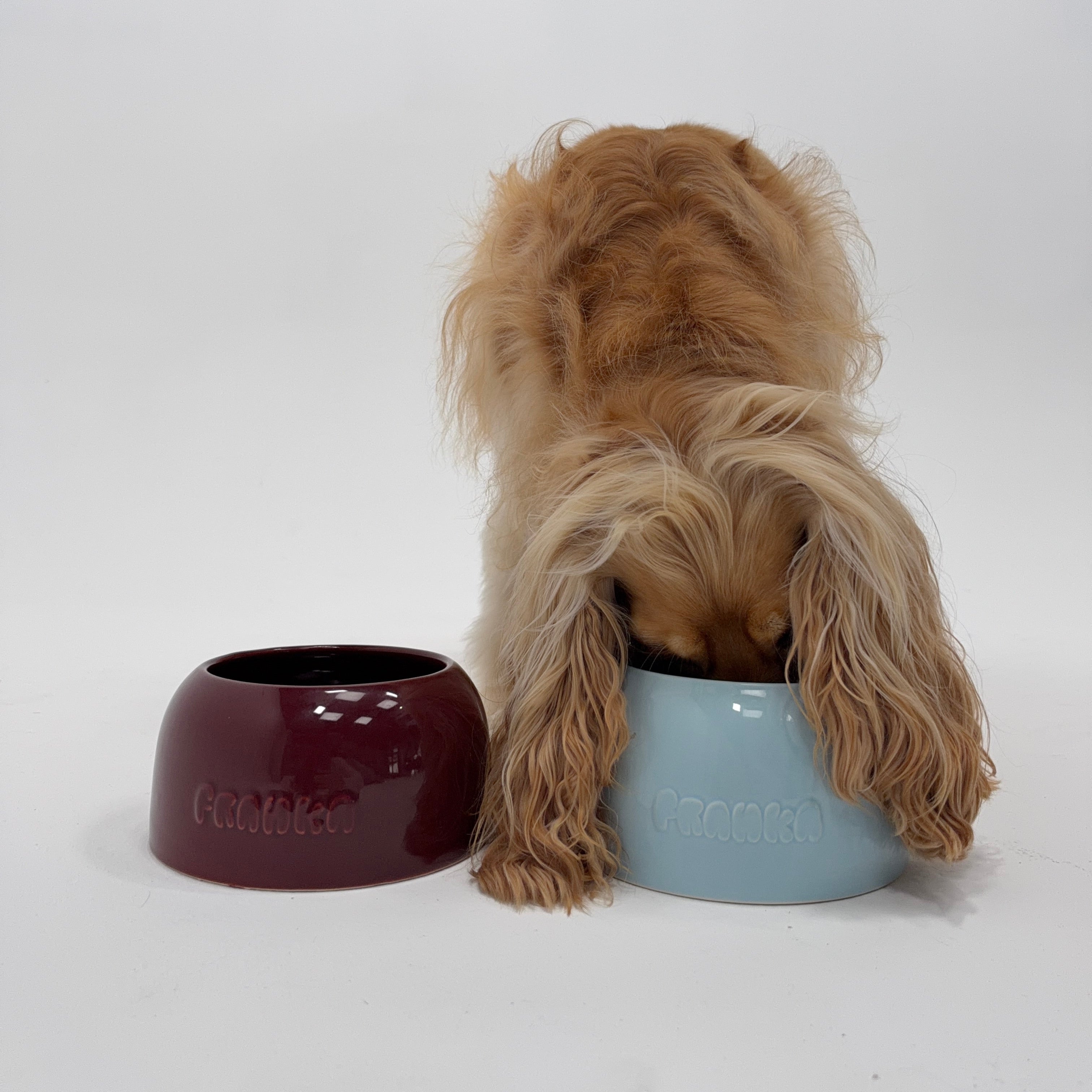 Long Eared Dog Bowl – By Franka