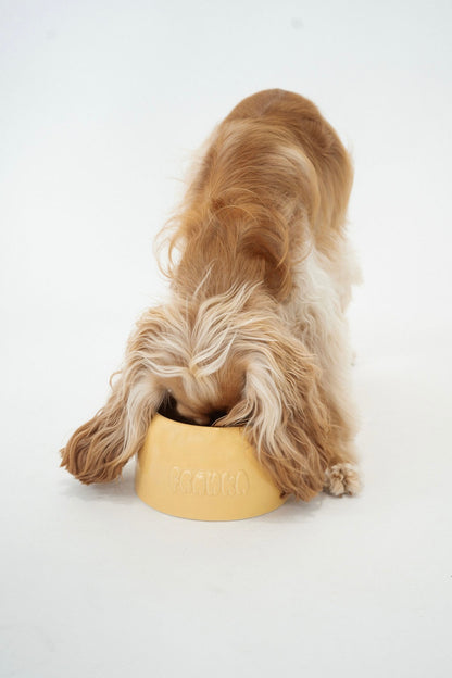 Medium Dog Bowl
